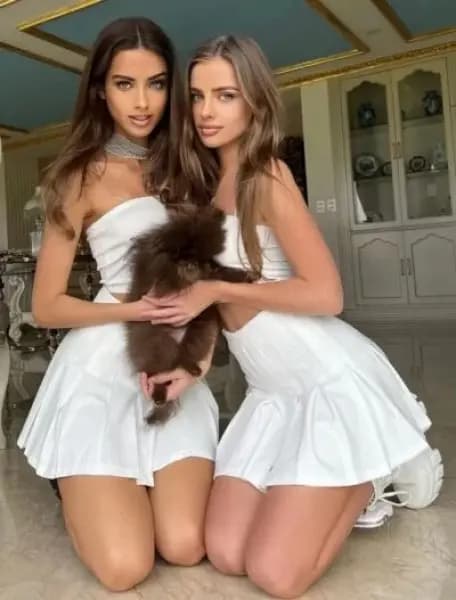 Trio 5