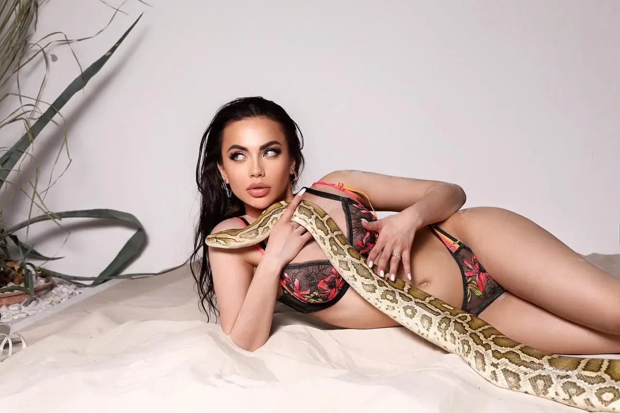 Gemma 2